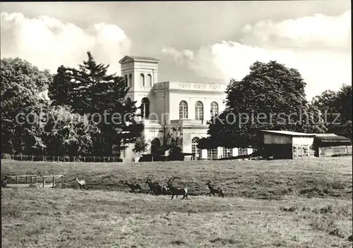 Putbus Ruegen Tierpark Kat. Putbus