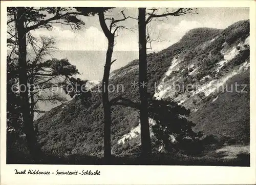 Insel Hiddensee Swantewit Schlucht Kat. Insel Hiddensee