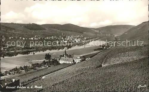 Wehlen Mosel Panorama Weinort Weinberge Kat. Bernkastel Kues