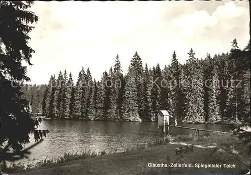 Zellerfeld Spiegeltaler Teich Kat. Clausthal Zellerfeld