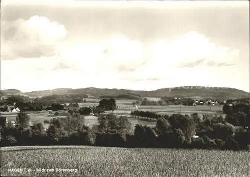 Hagen Teutoburger Wald Panorama Blick zum Doerenberg Kat. Hagen am Teutoburger Wald