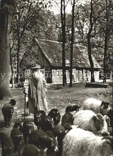 Wilsede Lueneburger Heide Schnuckenschaefer mit seiner Herde / Bispingen /Soltau-Fallingbostel LKR