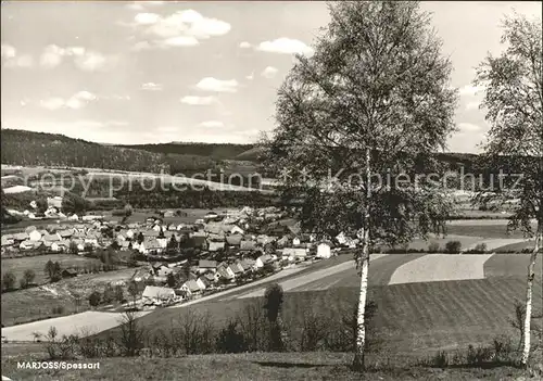 Marjoss ueber Waechtersbach Kat. Steinau an der Strasse