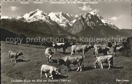 Farchant Farchanter Weide mit Blick zur Zugspitze Wettersteingebirge Kat. Farchant