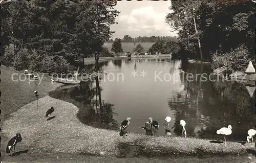 Bruenninghausen Tierpark Voegel Teich Kat. Dortmund