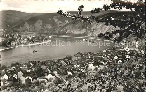 Kamp Bornhofen Boppard Fruehling am Rhein Bluetenzauber Kat. Kamp Bornhofen