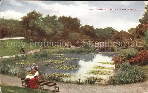 Chicago Illinois Lily Pond in Lincoln Park Kat. Chicago