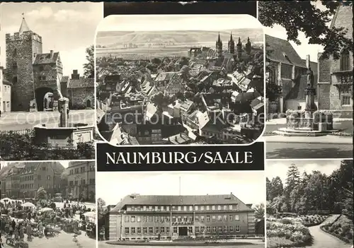 Naumburg Saale Stadtbild mit Dom Brunnen Park Markt Kat. Naumburg