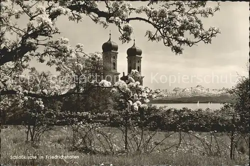 Friedrichshafen Bodensee Schlosskirche Baumbluete Alpenblick Kat. Friedrichshafen