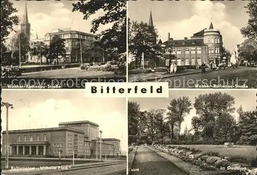 Bitterfeld Walther Rathenau Strasse Stadtpark Kulturpalast Wilhelm Pieck Kat. Bitterfeld