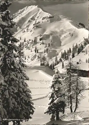 Koenigsee Berchtesgaden Schneibsteinhaus mit Jenner Winterpanorama Berchtesgadener Alpen Kat. Berchtesgaden