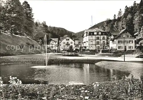 Bad Rippoldsau Schwarzwald Kurhaus Mineralbad Moorbad Teich Kat. Bad Rippoldsau Schapbach
