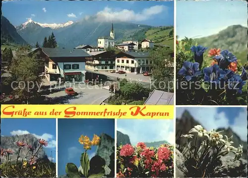 Kaprun Ortsansicht Alpenflora Kat. Kaprun