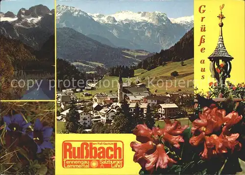 Russbach Pass Gschuett Vorderer Gosaussee Dachstein Tennengebirge Alpenflora Kat. Russbach am Pass Gschuett