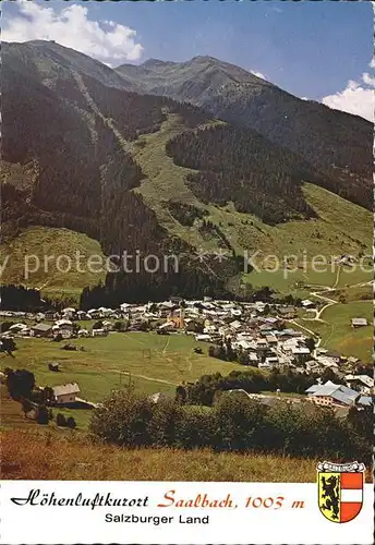 Saalbach Hinterglemm Totalansicht Kat. Saalbach Hinterglemm