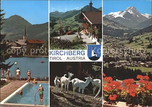 Kirchberg Tirol Schwimmbad Ortsblick Panorama Wildgehege Kat. Kirchberg in Tirol
