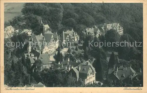 Falkenstein Taunus Obertaunusheim Kat. Koenigstein im Taunus