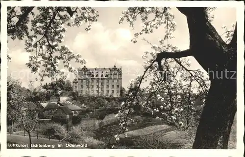 Lichtenberg Odenwald Schloss Kat. Fischbachtal