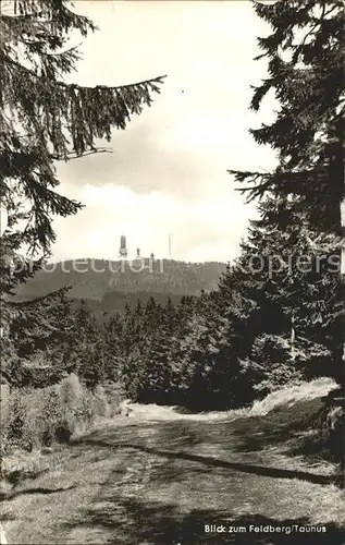 Feldberg Taunus  Kat. Schmitten