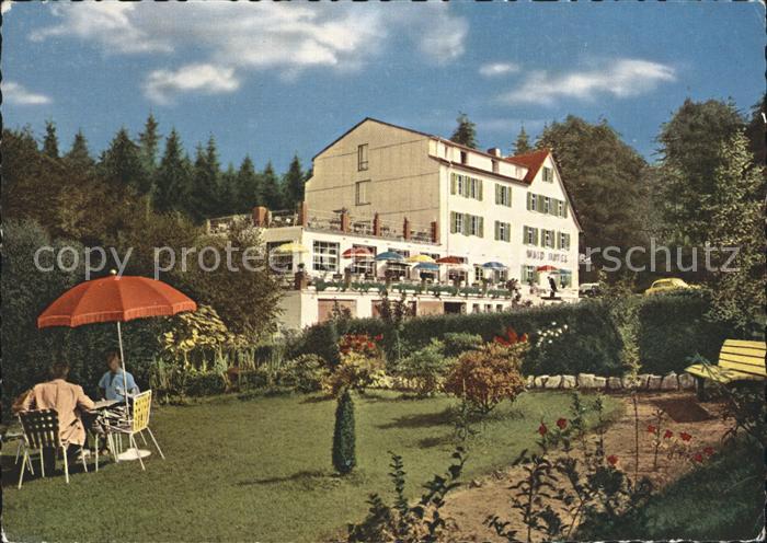 Glashuetten Taunus Wald Hotel Kat. Glashuetten Nr. kf40913 oldthing