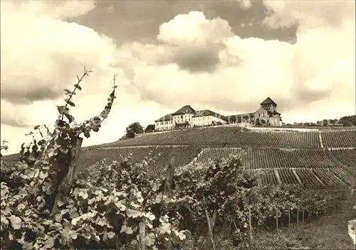 Johannisberg Rheingau Schloss Kirche  Kat. Geisenheim