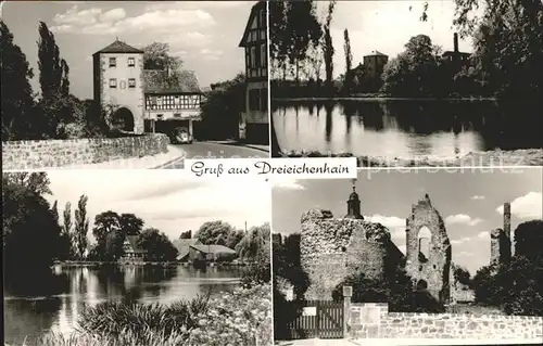 Dreieichenhain Ruine See Kat. Dreieich