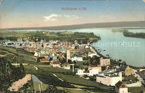 Ruedesheim Rhein Rhein Kat. Ruedesheim am Rhein