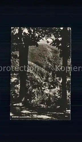 Espenschied Blick zur Laukenmuehle Kat. Lorch