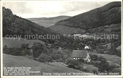 Waldkatzenbach Oberer Hoellgrund Kat. Waldbrunn