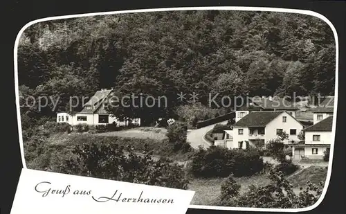 Herzhausen Korbach Pension Cafe Forsthaus Kat. Voehl