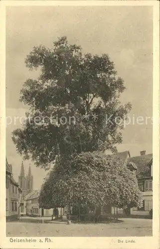 Geisenheim  Kat. Geisenheim