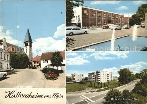 Hattersheim Main Blick vom Eisernen Steg Kat. Hattersheim am Main