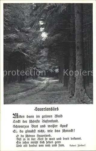 Meschede Waldpartie Sauerlandlied Robert Zuendorf Kat. Arnsberg