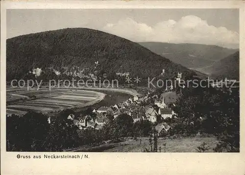 Neckarsteinach Panorama Kat. Neckarsteinach