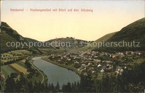 Neckargemuend im Neckartal mit Dilsberg Kat. Neckargemuend