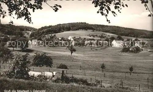 Scharbach  Kat. Grasellenbach