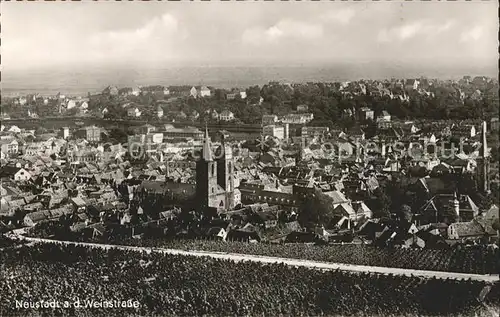 Neustadt Weinstrasse Panorama Kat. Neustadt an der Weinstr.