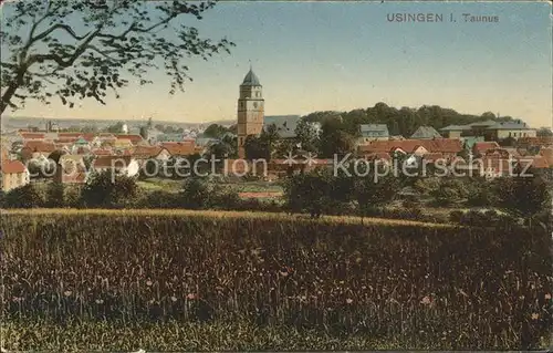 Usingen Stadtblick Kat. Usingen