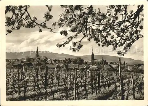 Edenkoben Panorama Kirchen Kat. Edenkoben