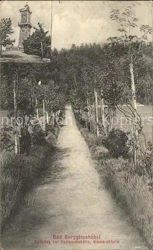 Berggiesshuebel Aufstieg zur Panoramahoehe Bismarckturm Kat. Bad Gottleuba Berggiesshuebel