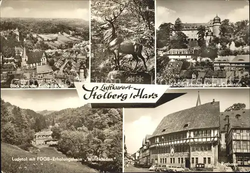 Stolberg Harz Blick von der Lutherbuche FDGB Erholungsheim Rathaus Hirsch Skulptur Ludetal Kat. Stolberg Harz