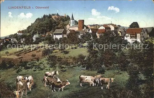 Lindenfels Odenwald Ortsansicht Viehweide Kat. Lindenfels