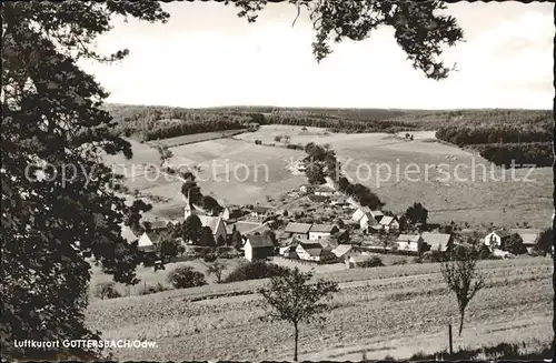 Guettersbach Panorama Kat. Mossautal