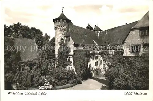 Steinbach Michelstadt Schloss Fuerstenau Kat. Michelstadt