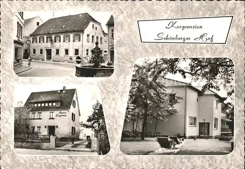 Bad Koenig Odenwald Kurpension Schoenberger Hof Brunnen