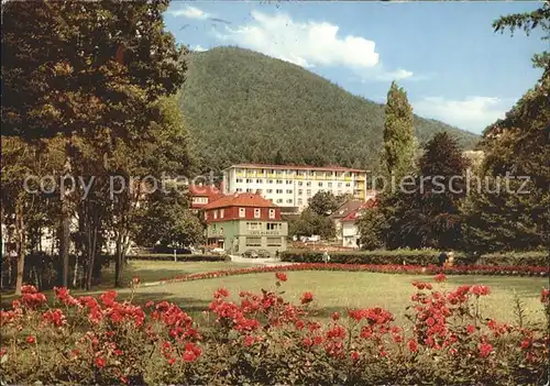 Bad Wildungen Cafe Hubertus und Sanatorium Kat. Bad Wildungen