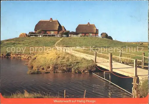 Hallig Hooge Westerwarft Kat. Hooge