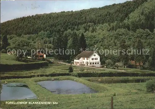 Blankenheim Ahr Restaurant Forellenhof Kat. Blankenheim