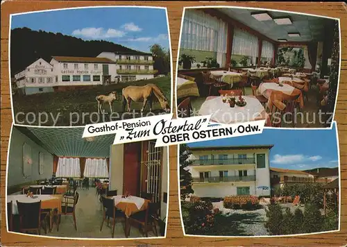 Ober Ostern Gasthaus Pension Zum Ostertal Kat. Reichelsheim (Odenwald)