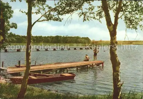 Schildau Freibad am Neumuehlenteich  Kat. Schildau Gneisenaustadt